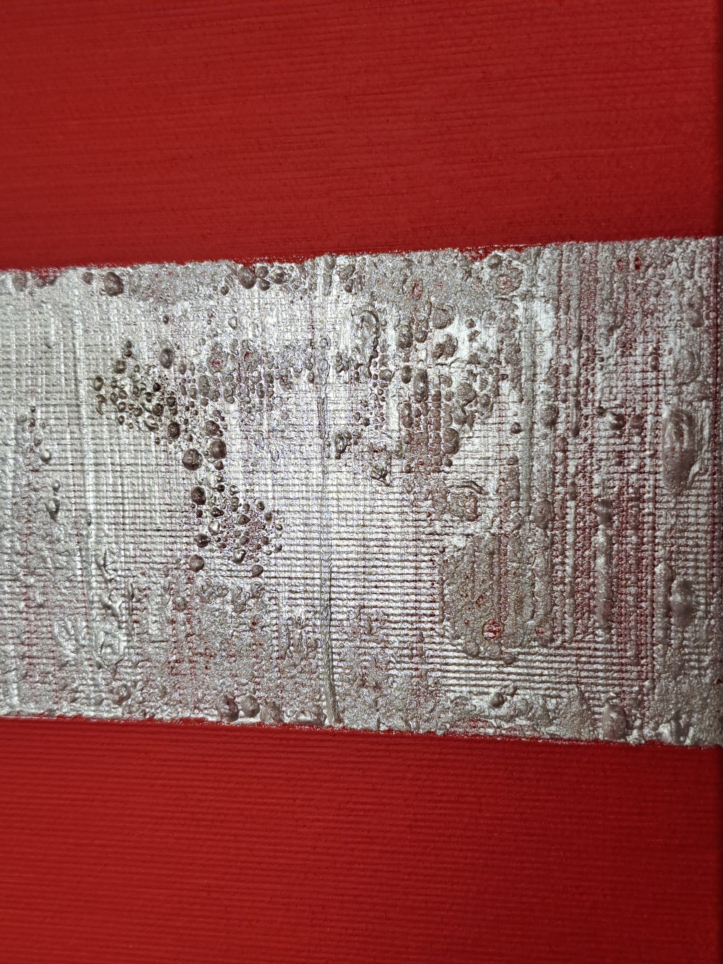 Libertà circoscritta