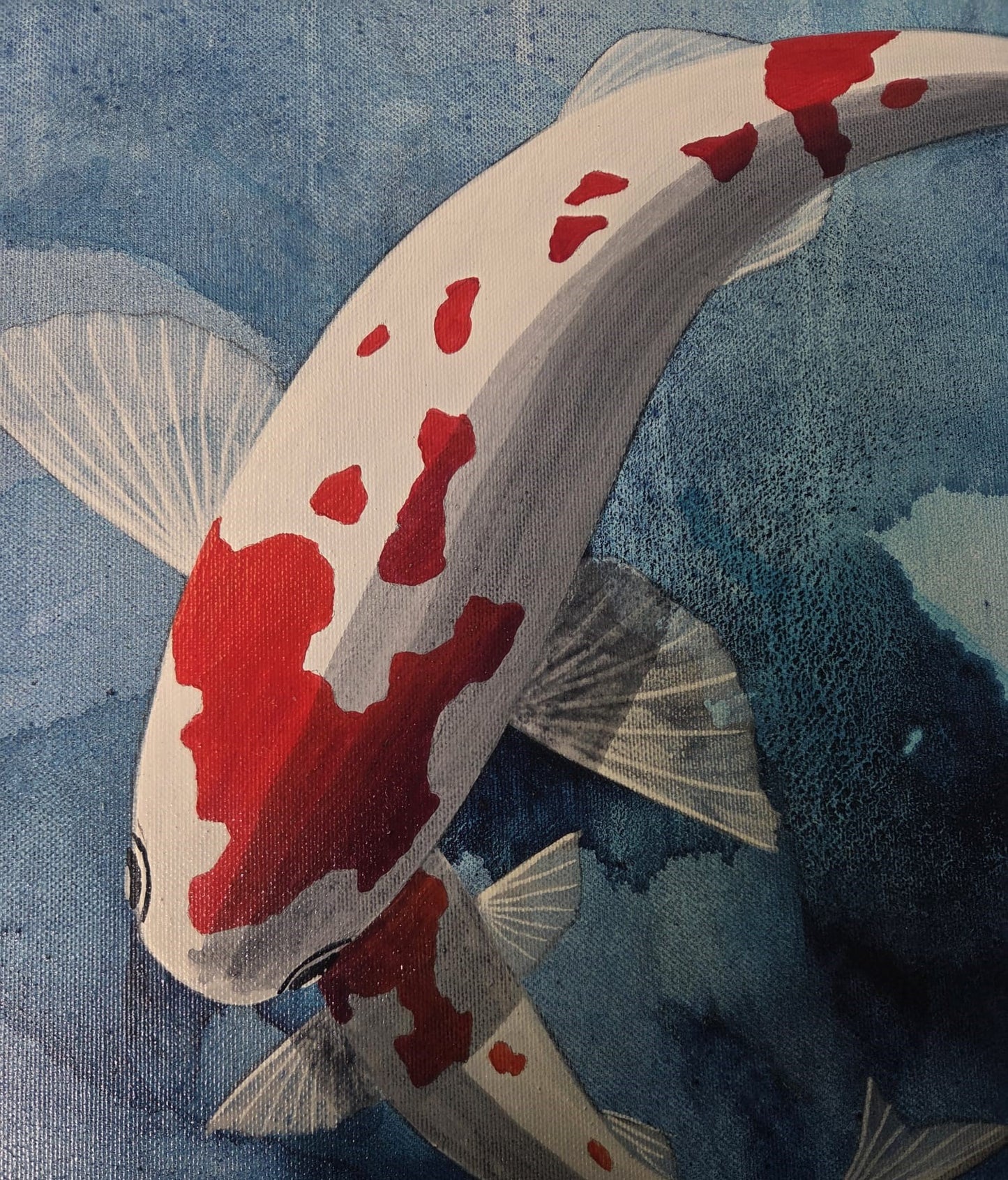 Koi