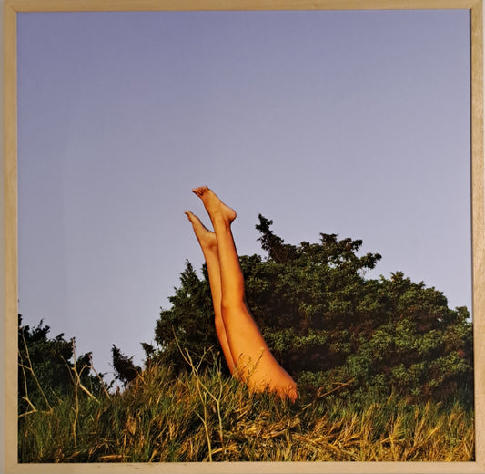 What the World Needs