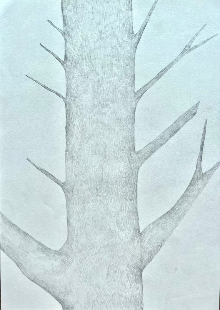 Obra N. 11