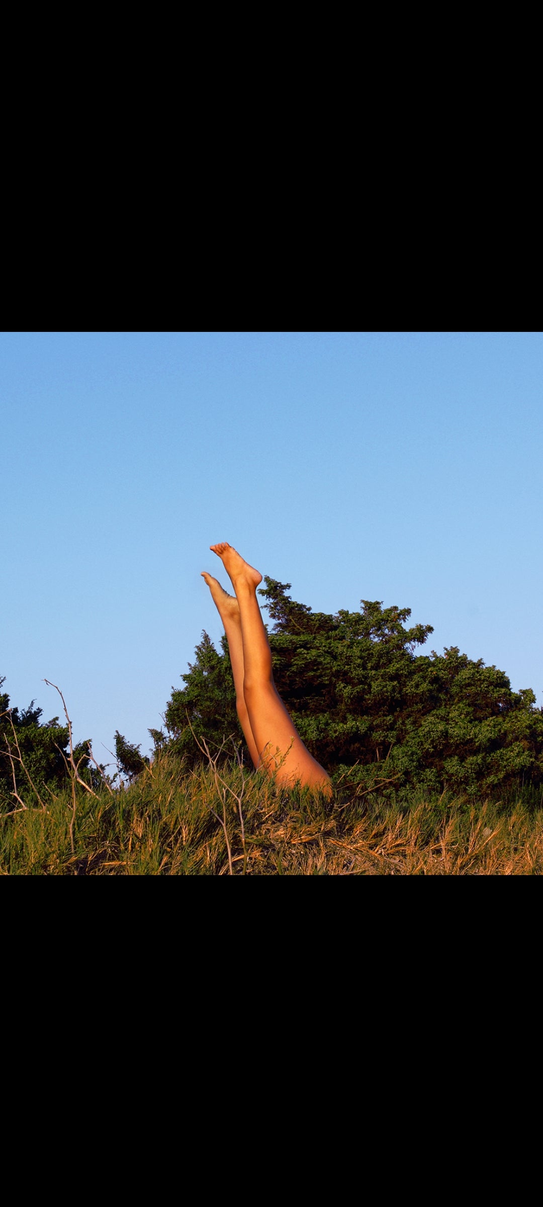 What the World Needs