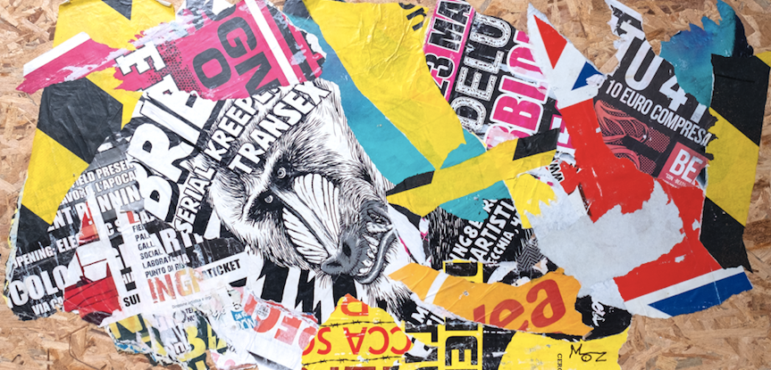 Monkey Business cm 125x60