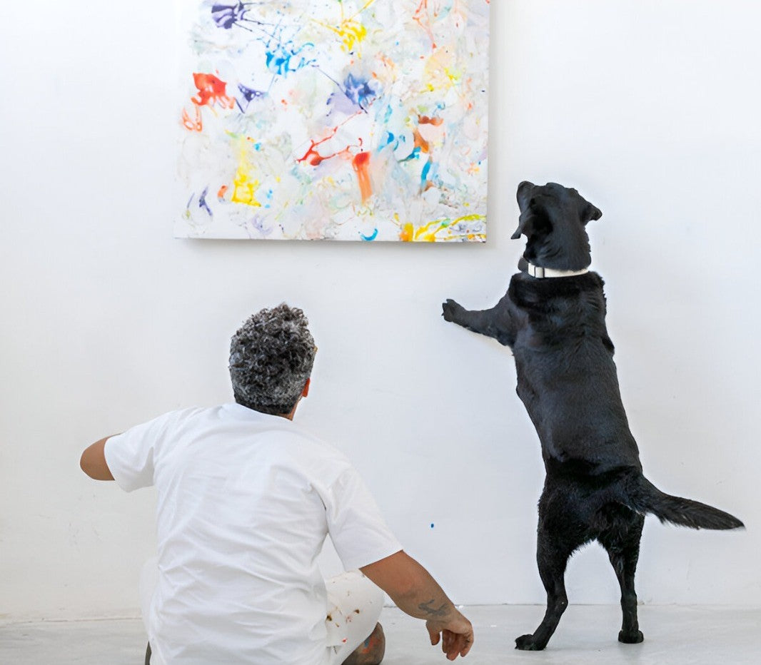 Jpet JPet – Contemporary Artshop
