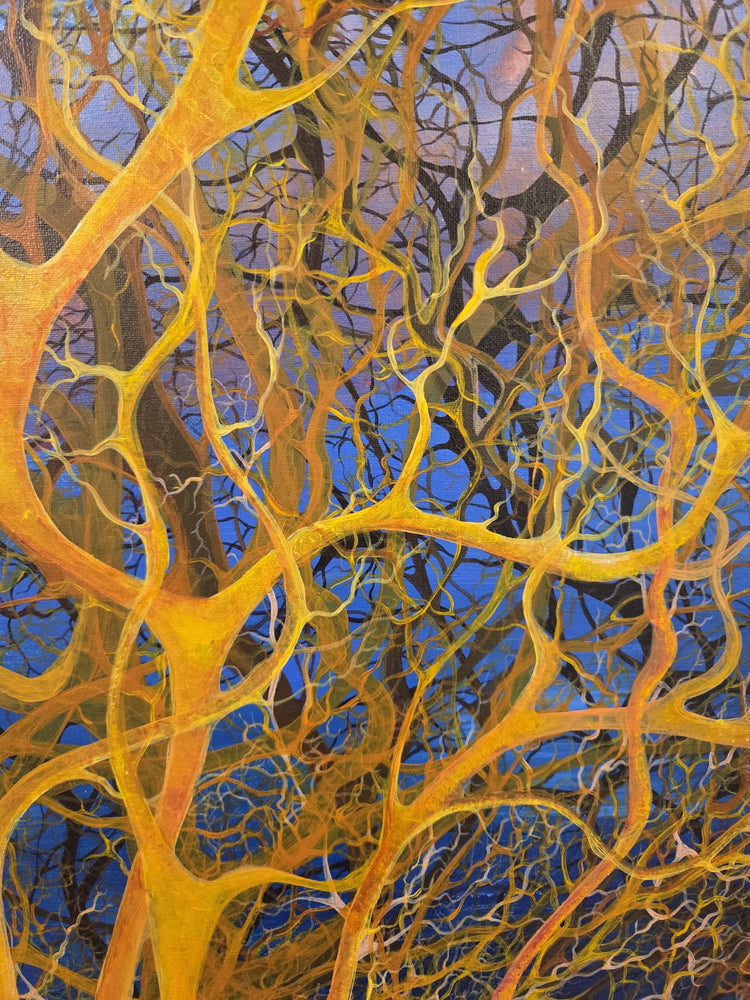 Il sentiero dell'oltre - Maristella Angeli