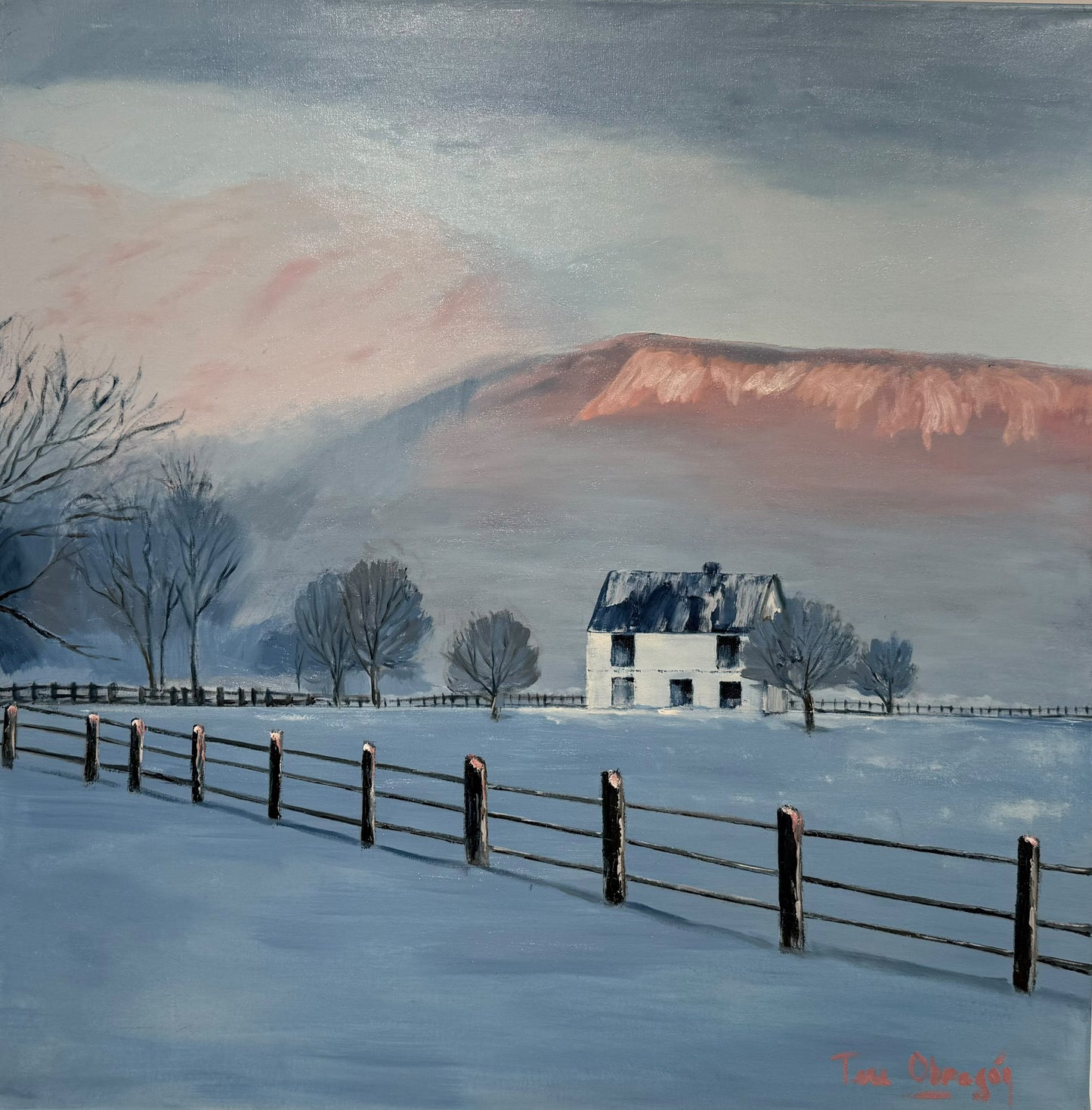 Palidez de Invierno
