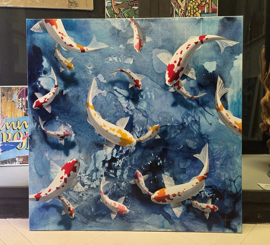 Koi