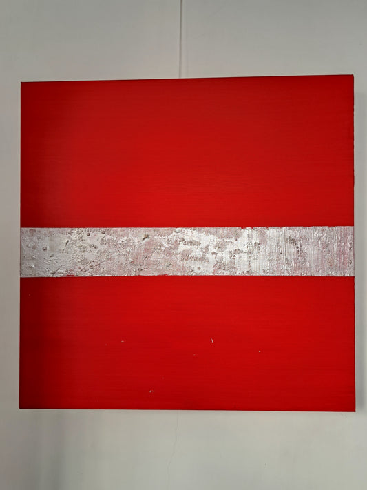 Libertà circoscritta