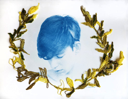 Silencio Entre Ramas