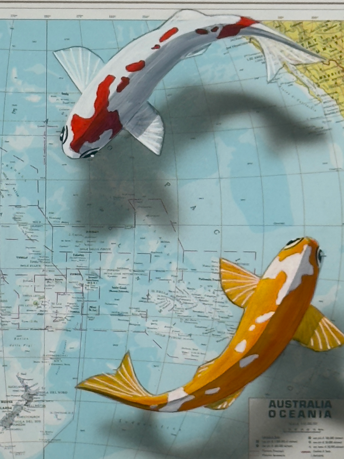 KOI
