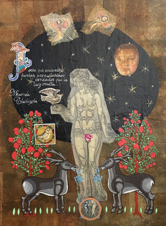Anima Mundi Noche