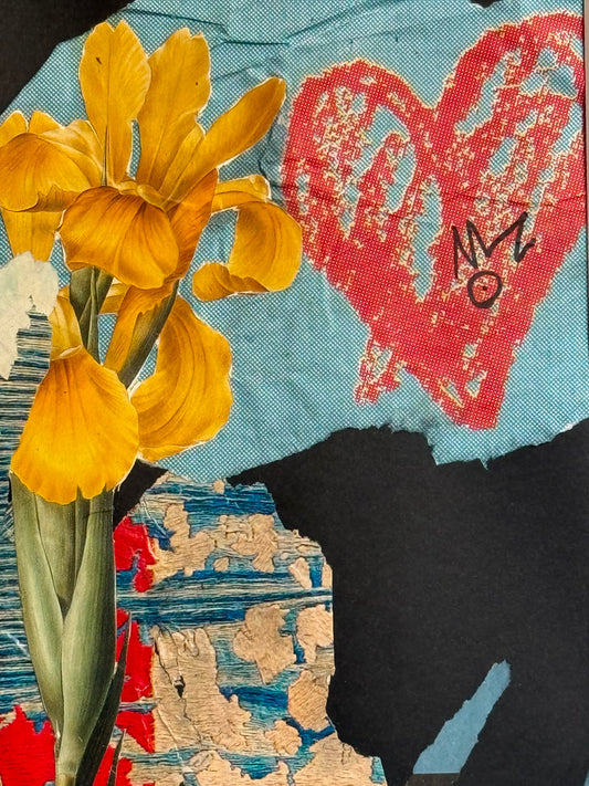 Iris Monnieri