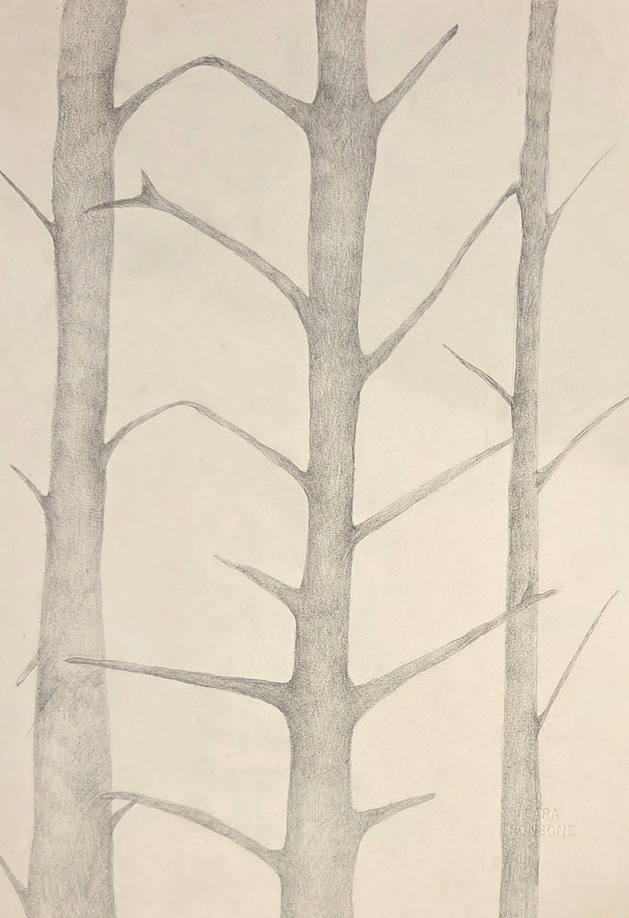 Obra N. 5