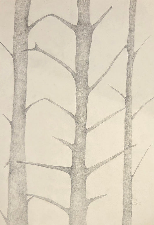 Obra N. 5