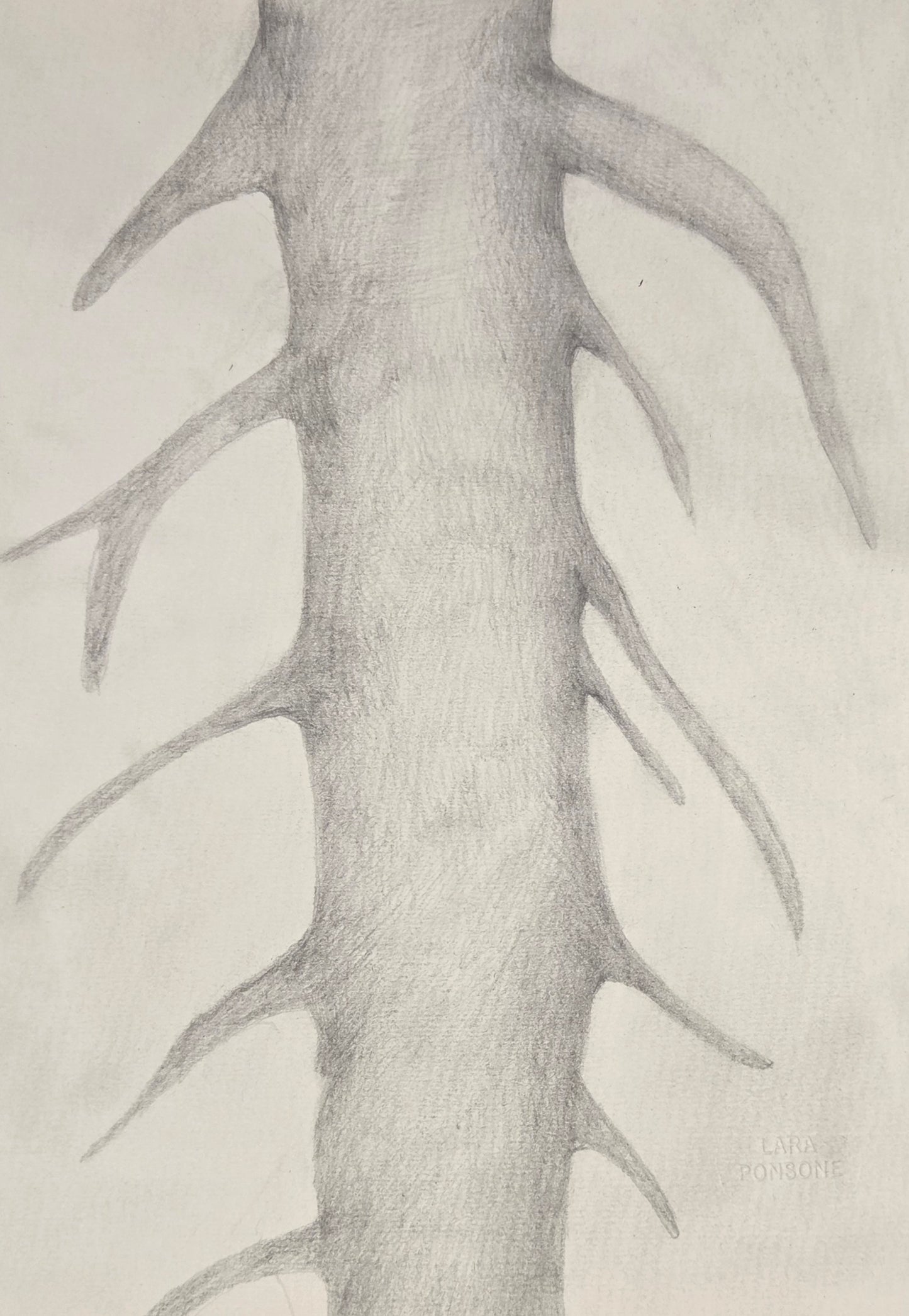 Obra N. 7