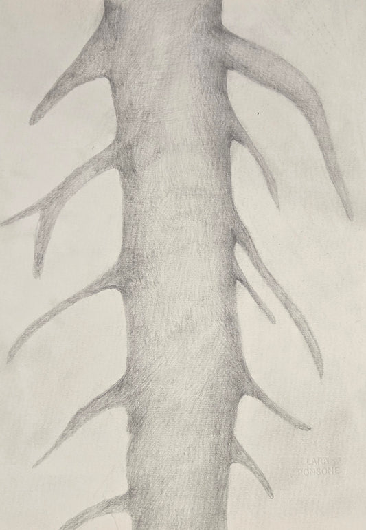 Obra N. 7