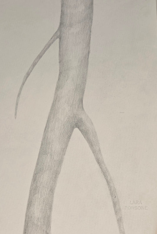 Obra N. 1