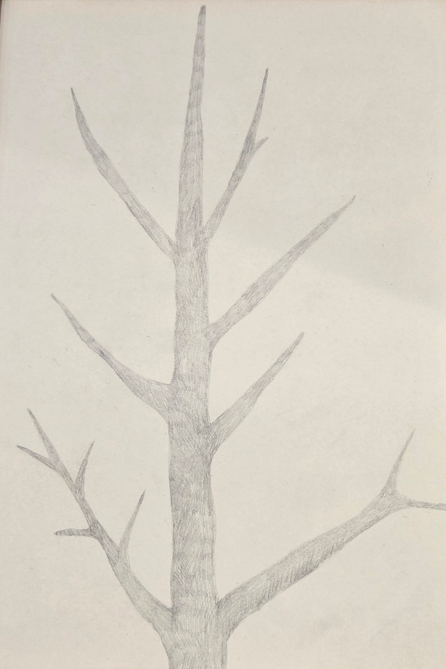 Obra N. 9
