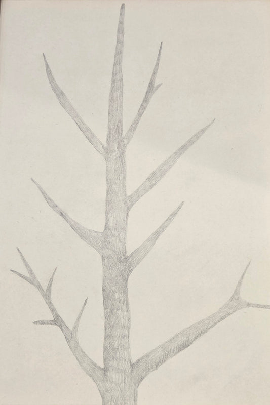 Obra N. 9