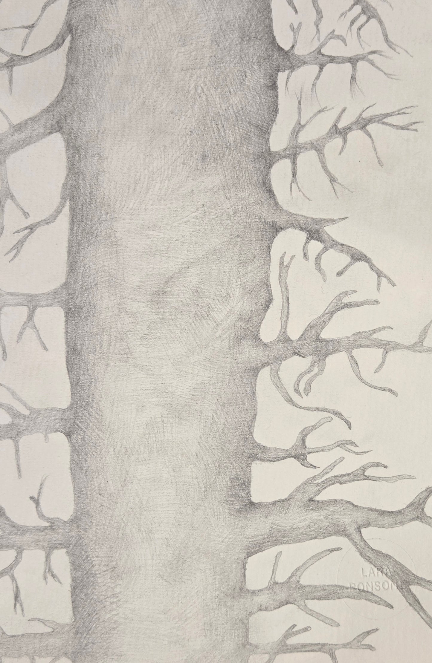 Obra N. 4