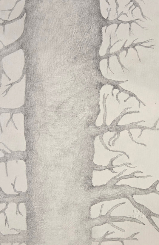 Obra N. 4