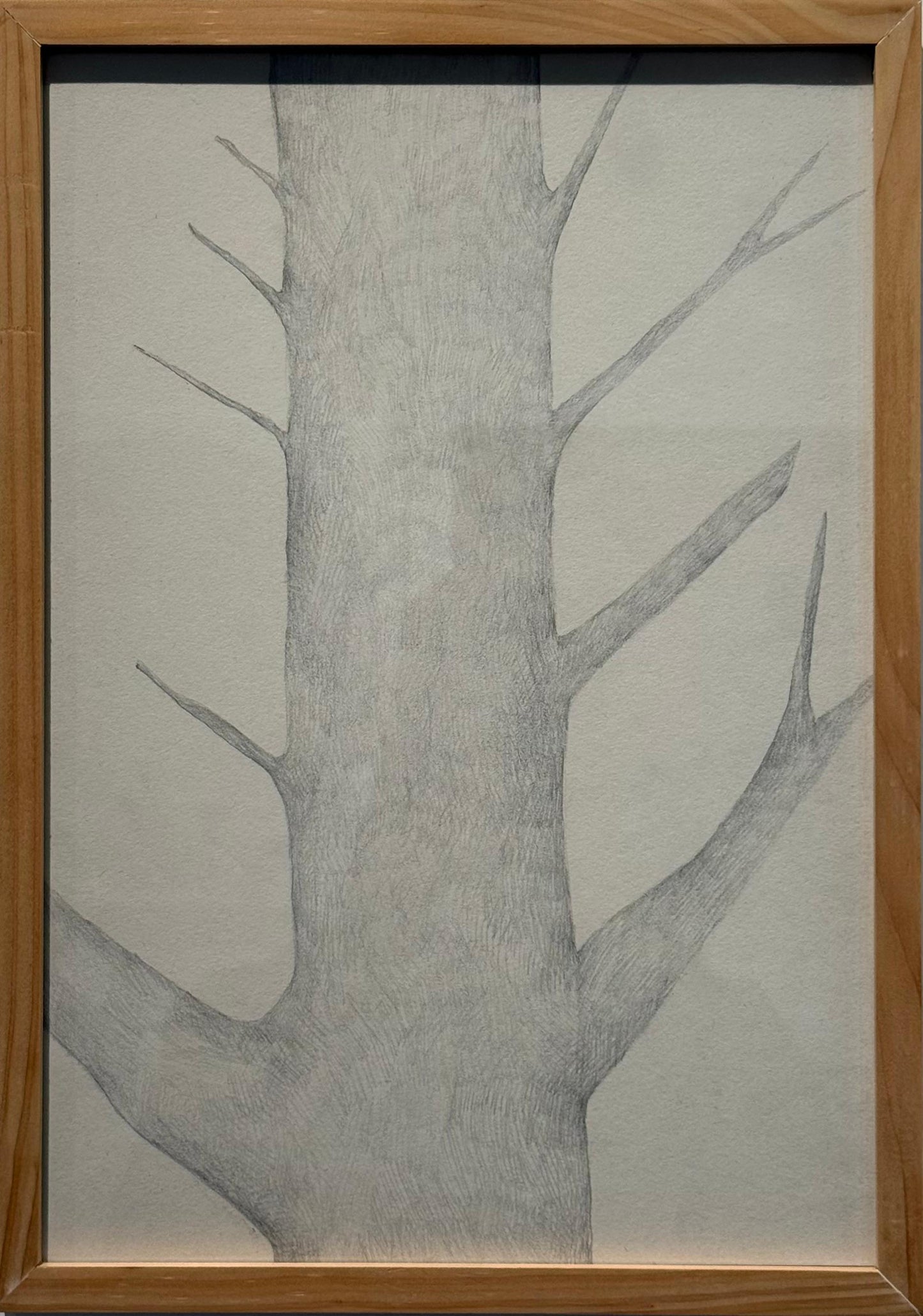 Obra N. 11