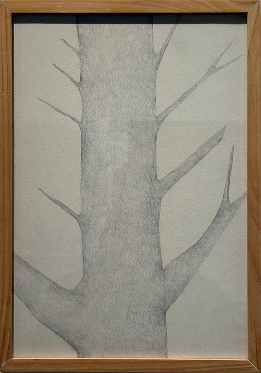 Obra N. 11