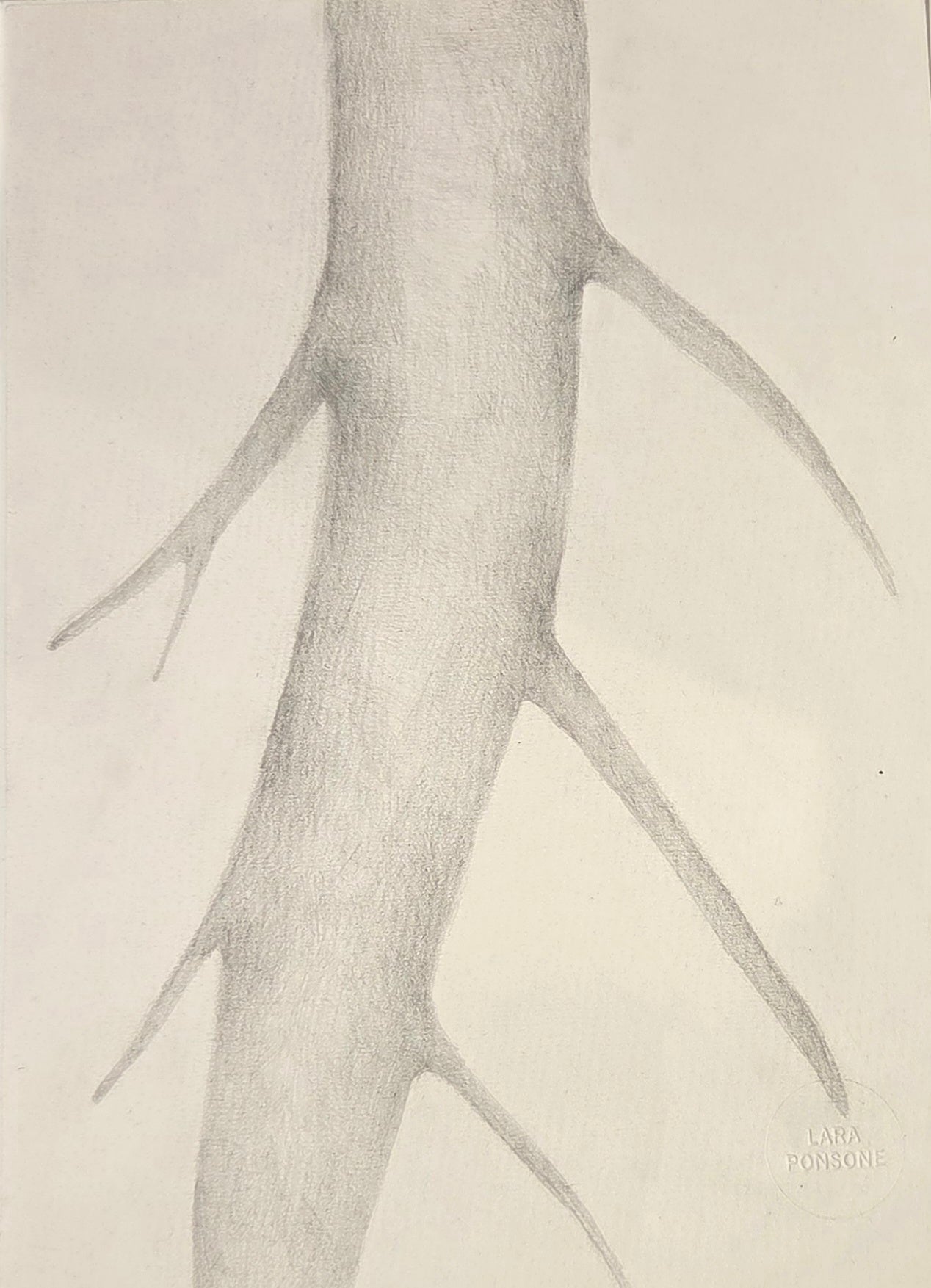 Obra N. 2