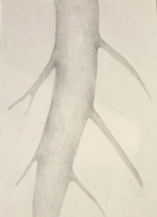 Obra N. 2