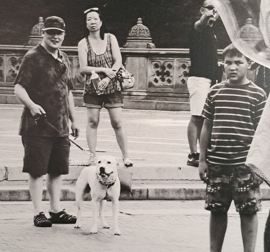 The Child's Amazement