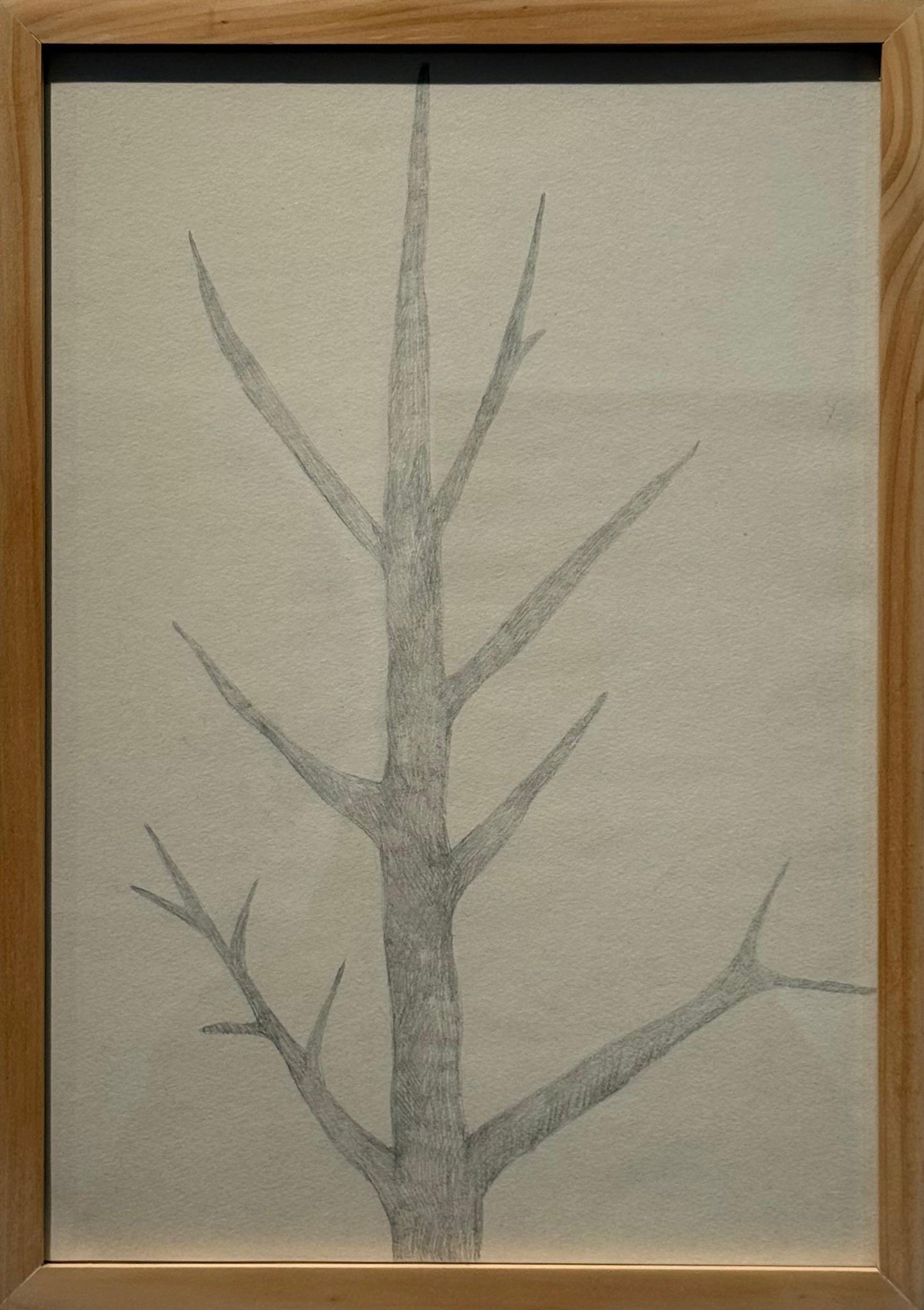Obra N. 9