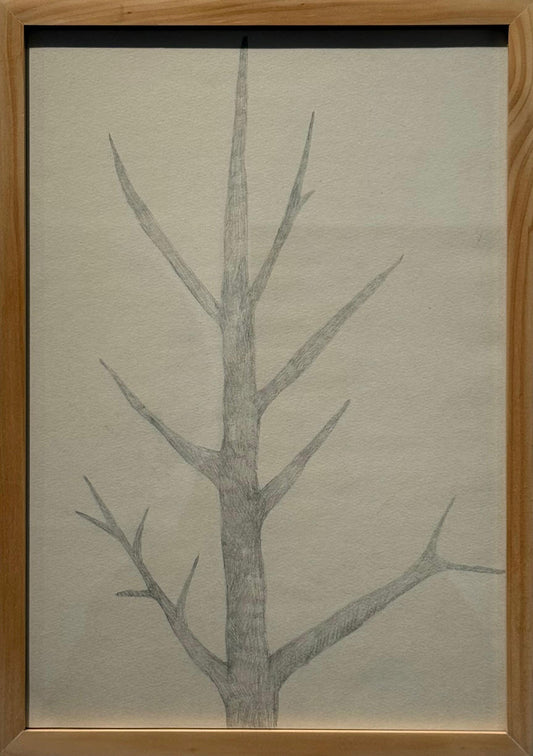 Obra N. 9