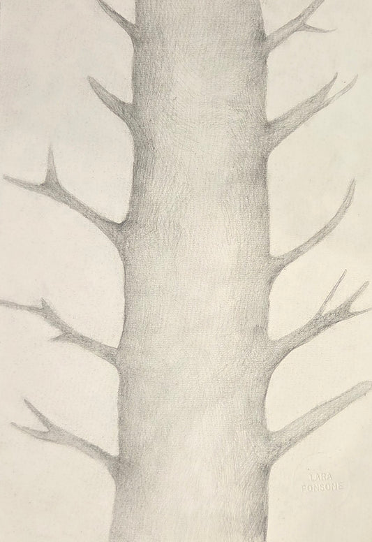 Obra N. 3