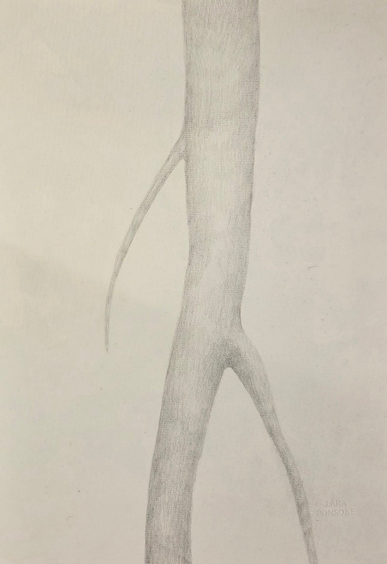 Obra N. 1