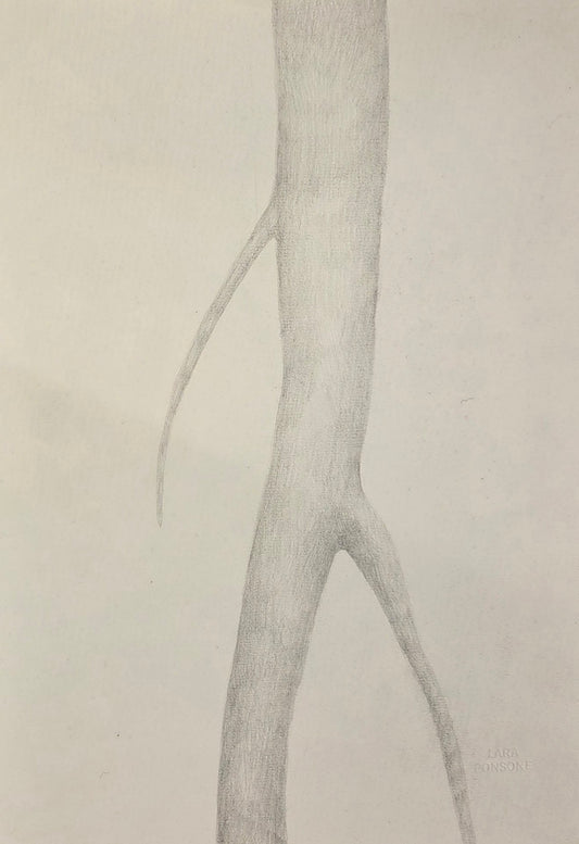 Obra N. 1