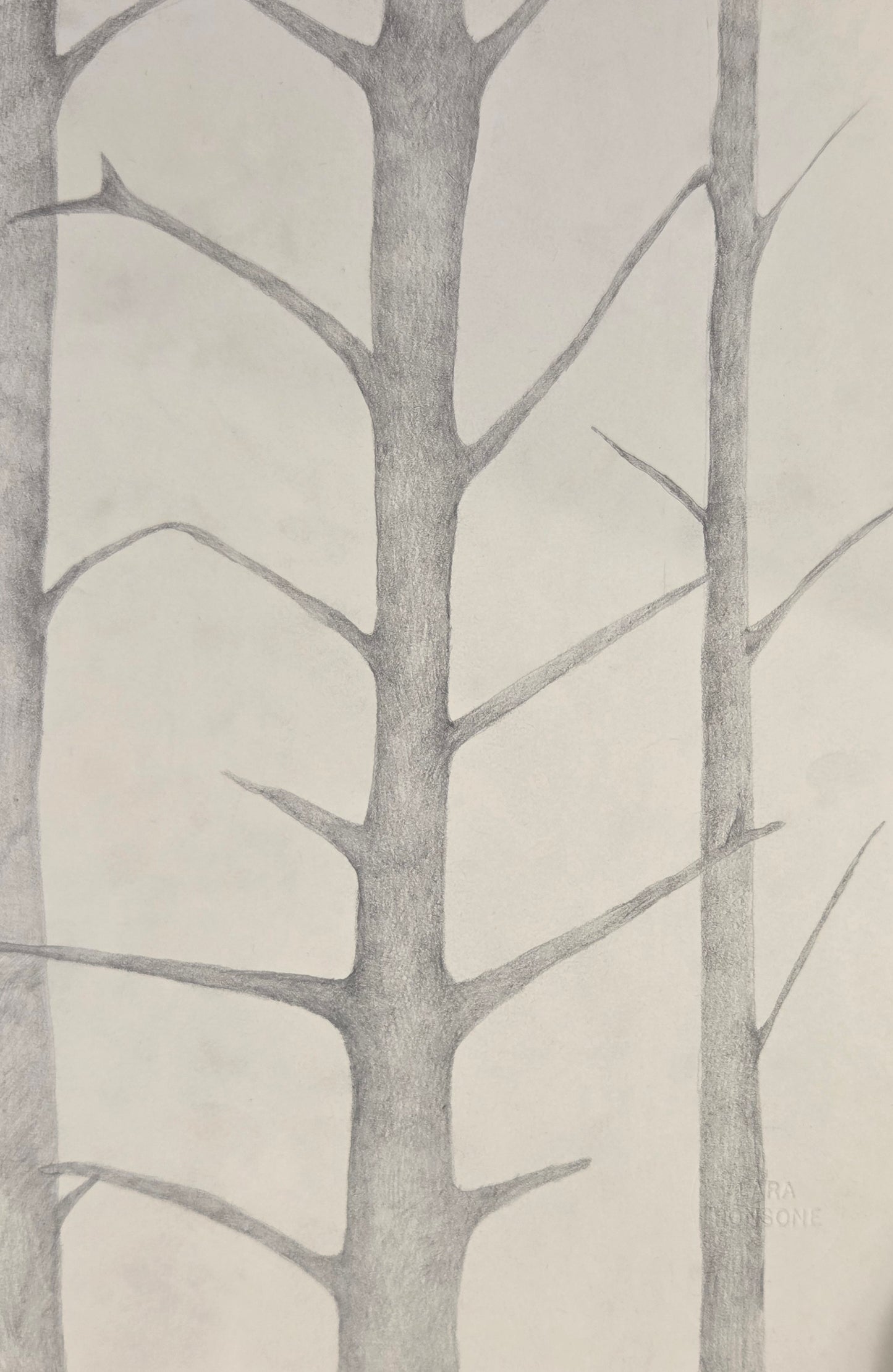 Obra N. 5