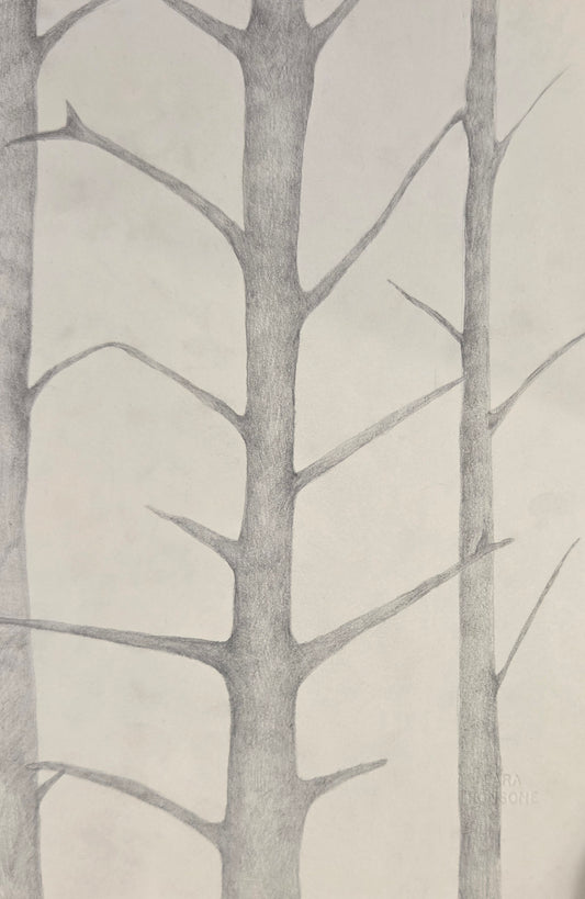 Obra N. 5