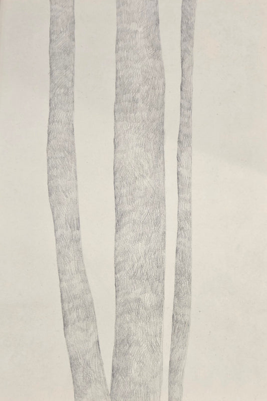 Obra N. 10