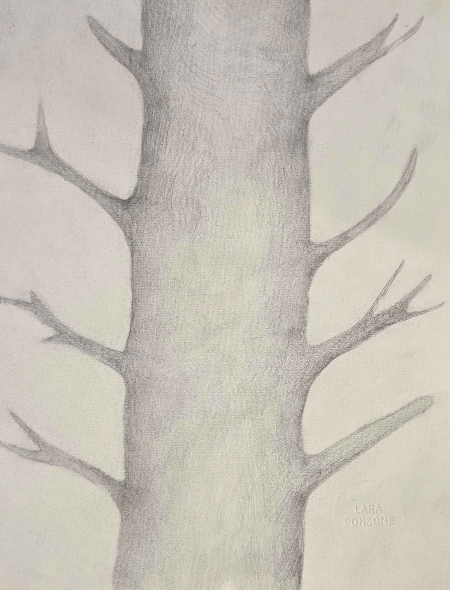 Obra N. 3