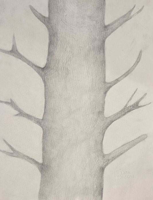 Obra N. 3