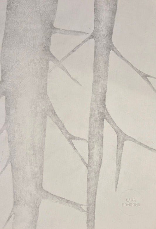 Obra N. 6