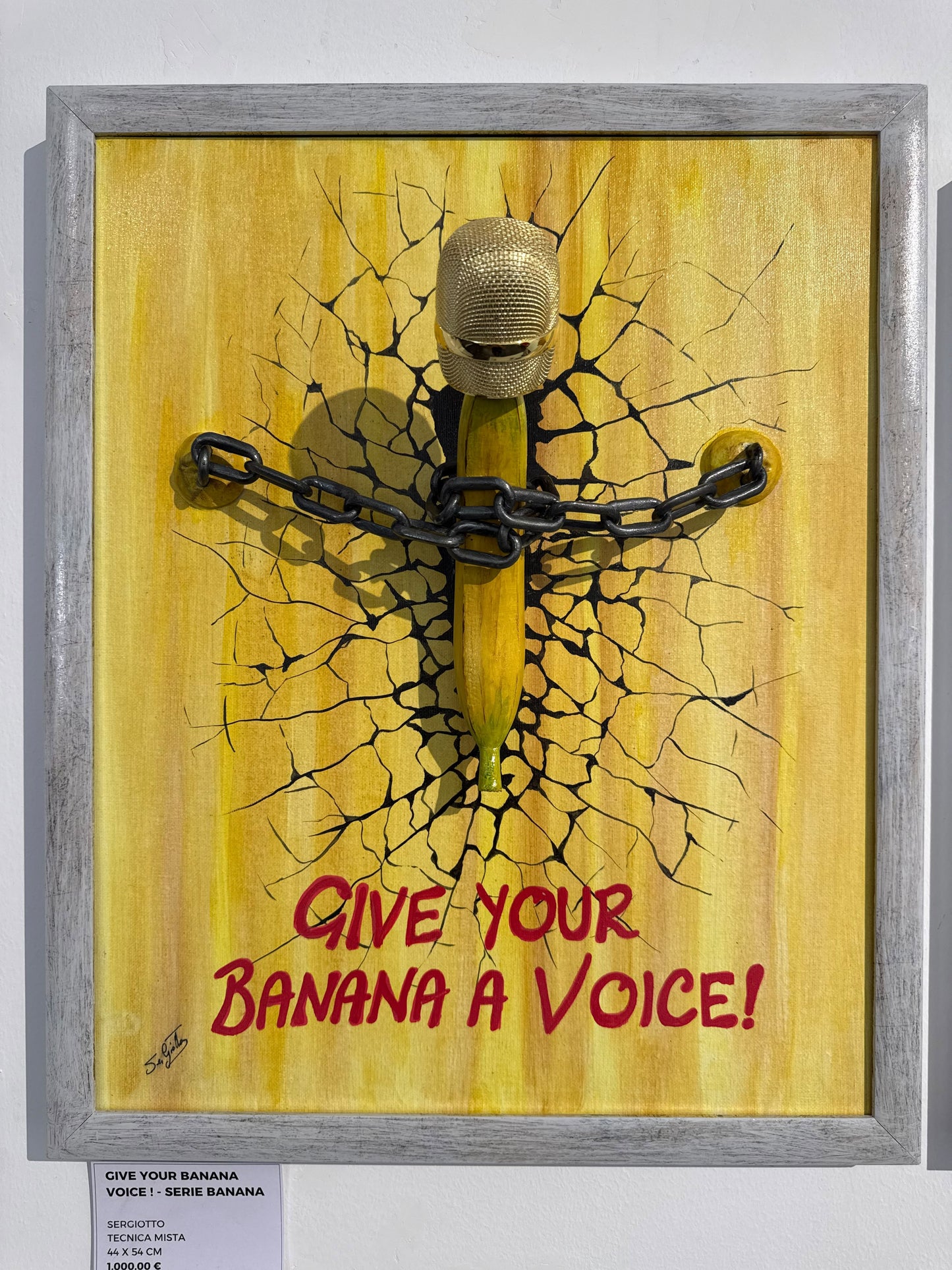 Give Your Banana a Voice !