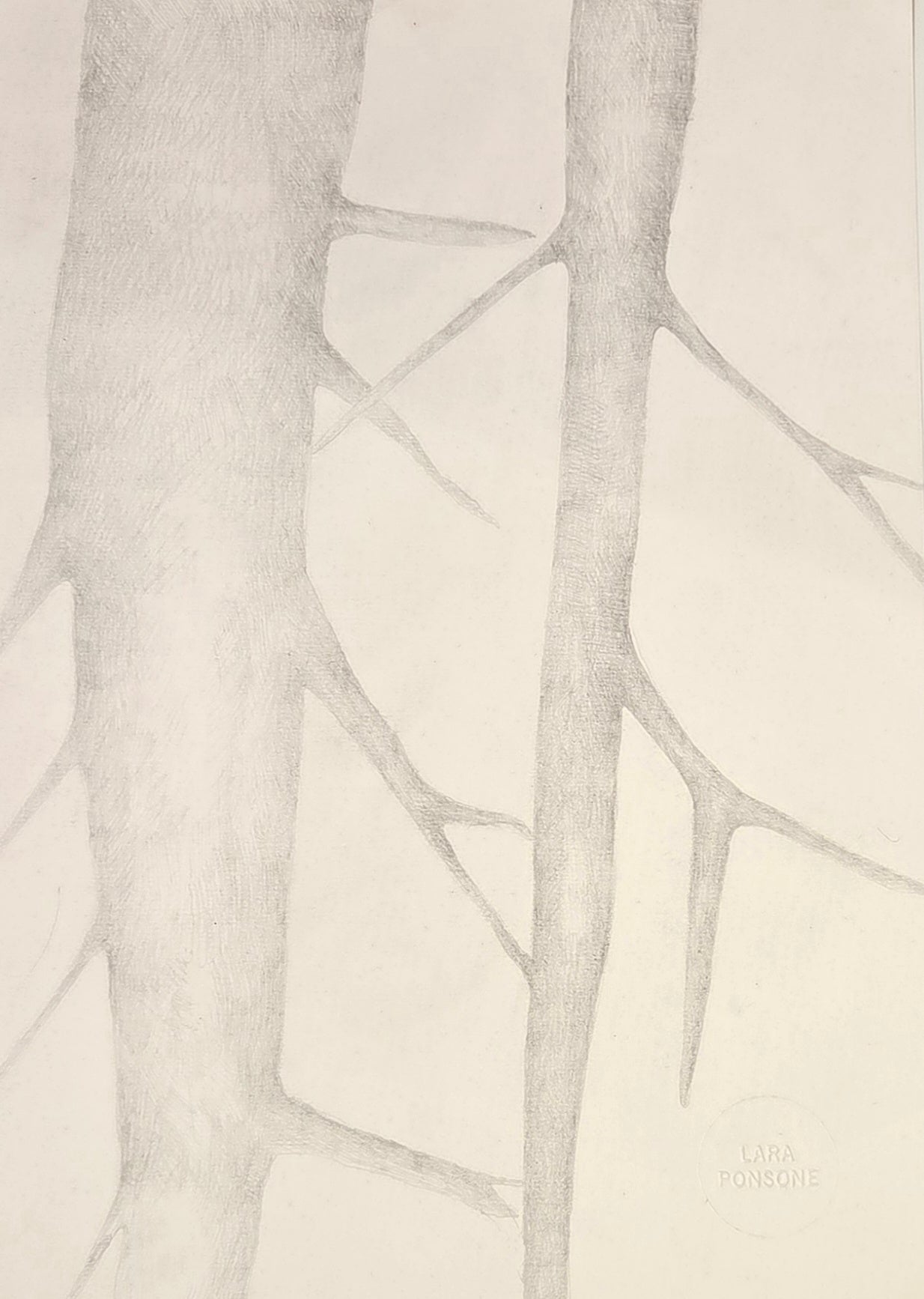 Obra N. 6