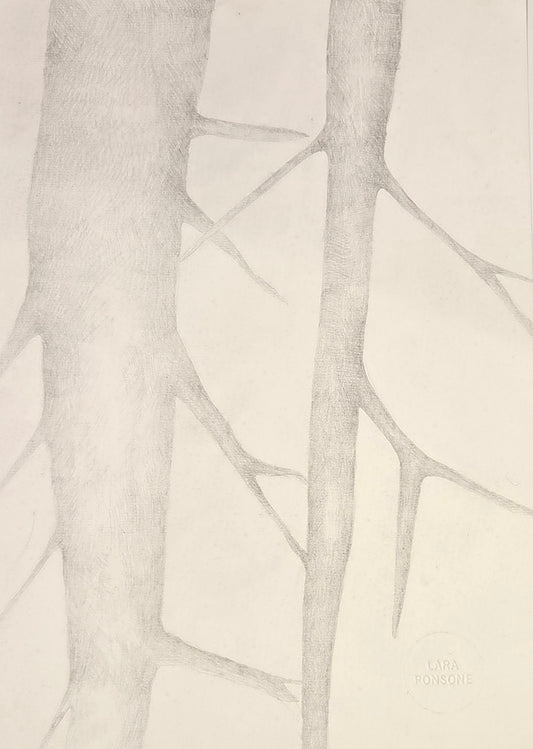 Obra N. 6