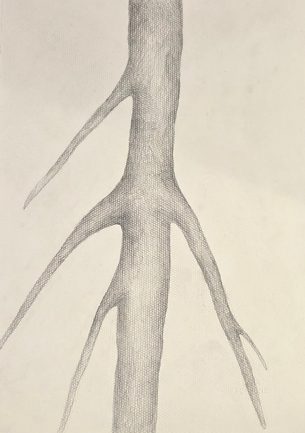 Obra N. 8