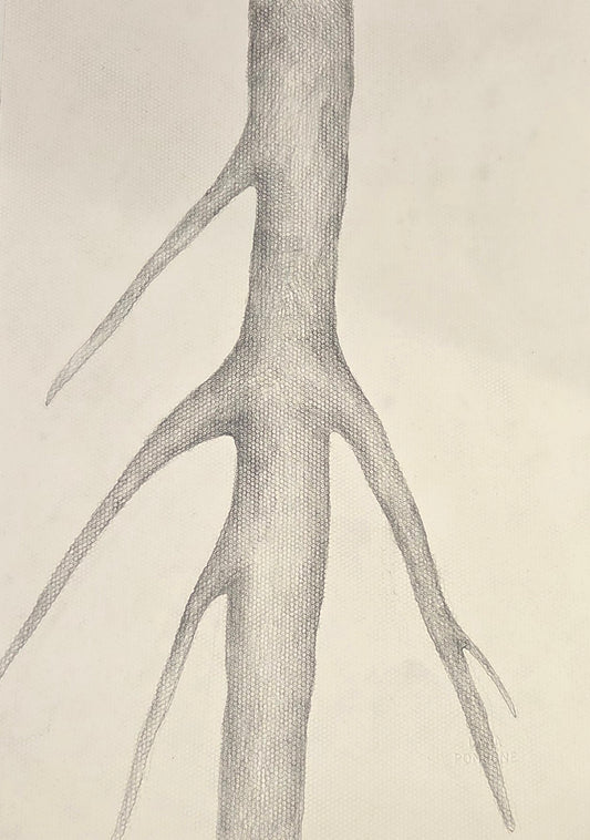 Obra N. 8
