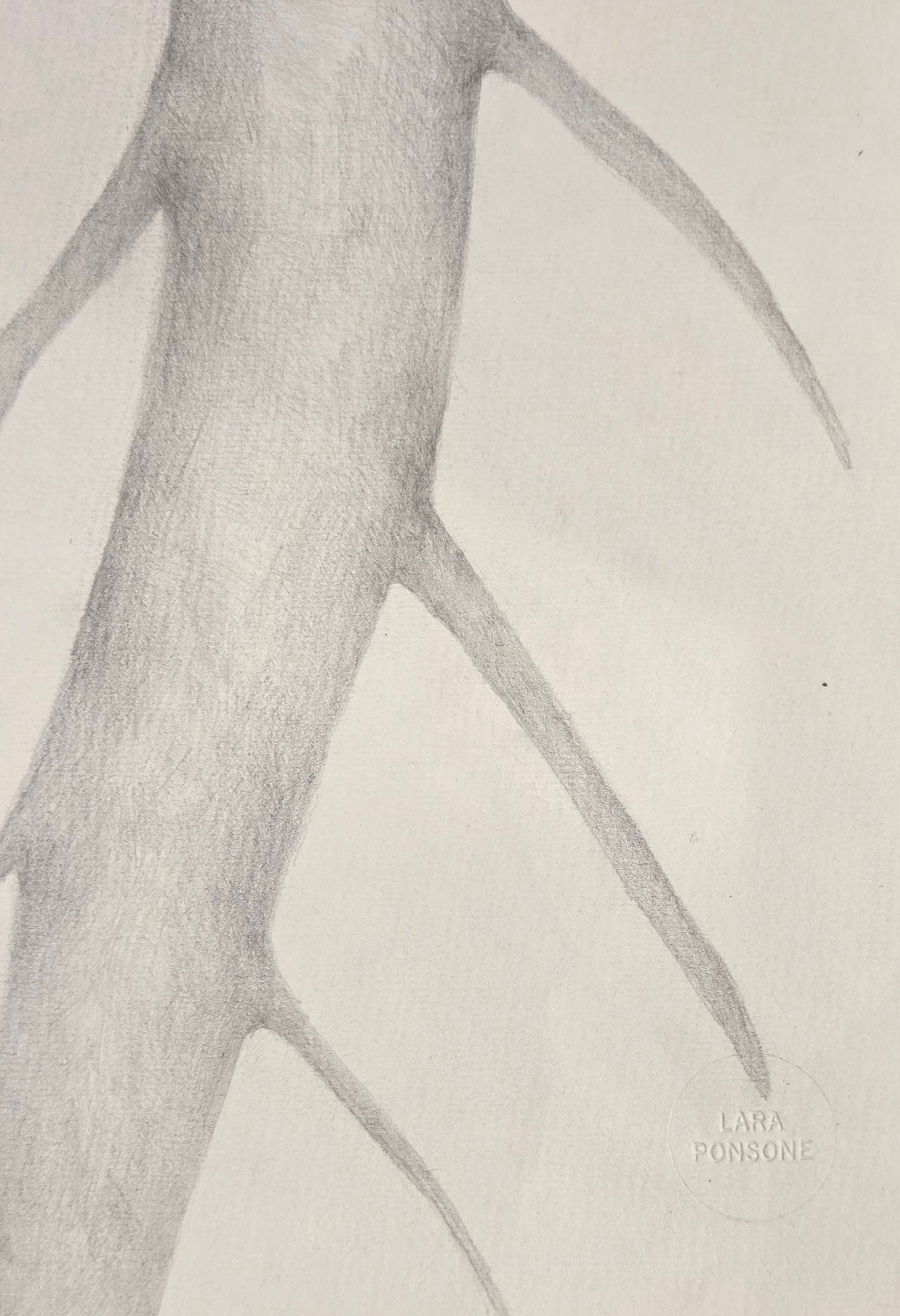 Obra N. 2