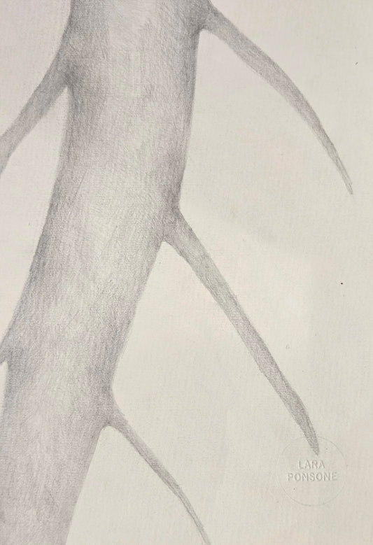 Obra N. 2