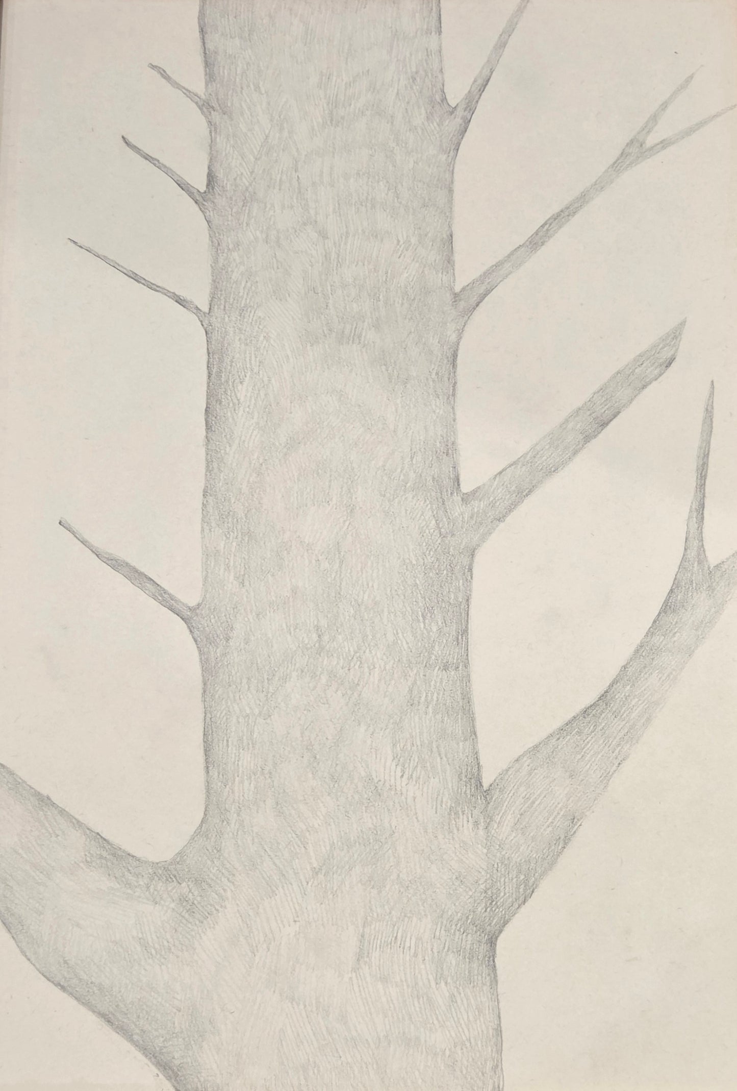 Obra N. 11