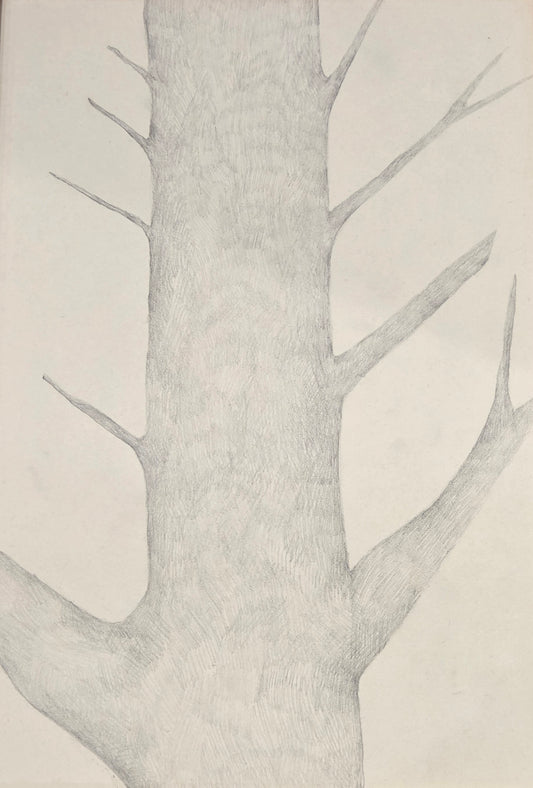 Obra N. 11