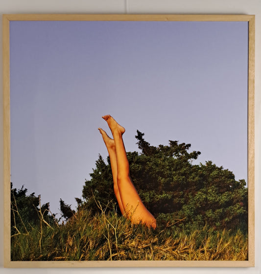 What the World Needs